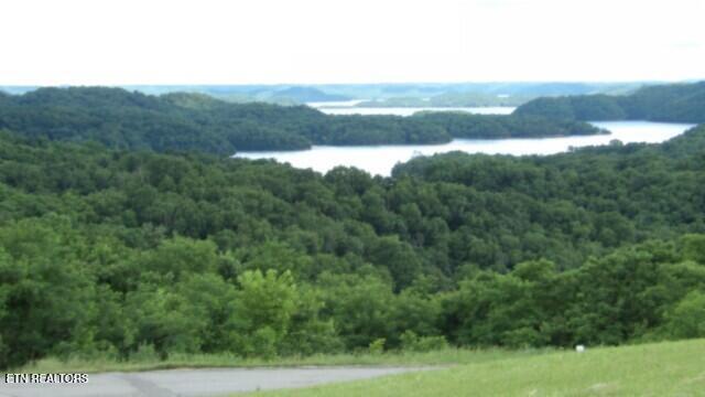 Lot 40 Swan Ridge Road Celina, TN 38551 - Photo 13 of 31 100_0039
