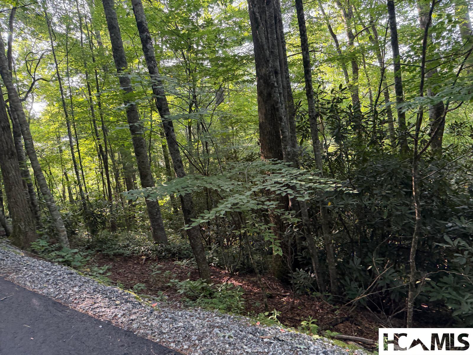 24 Wandering Ridge Cashiers, NC 28717 - Photo 7 of 30 Gallery Image 7