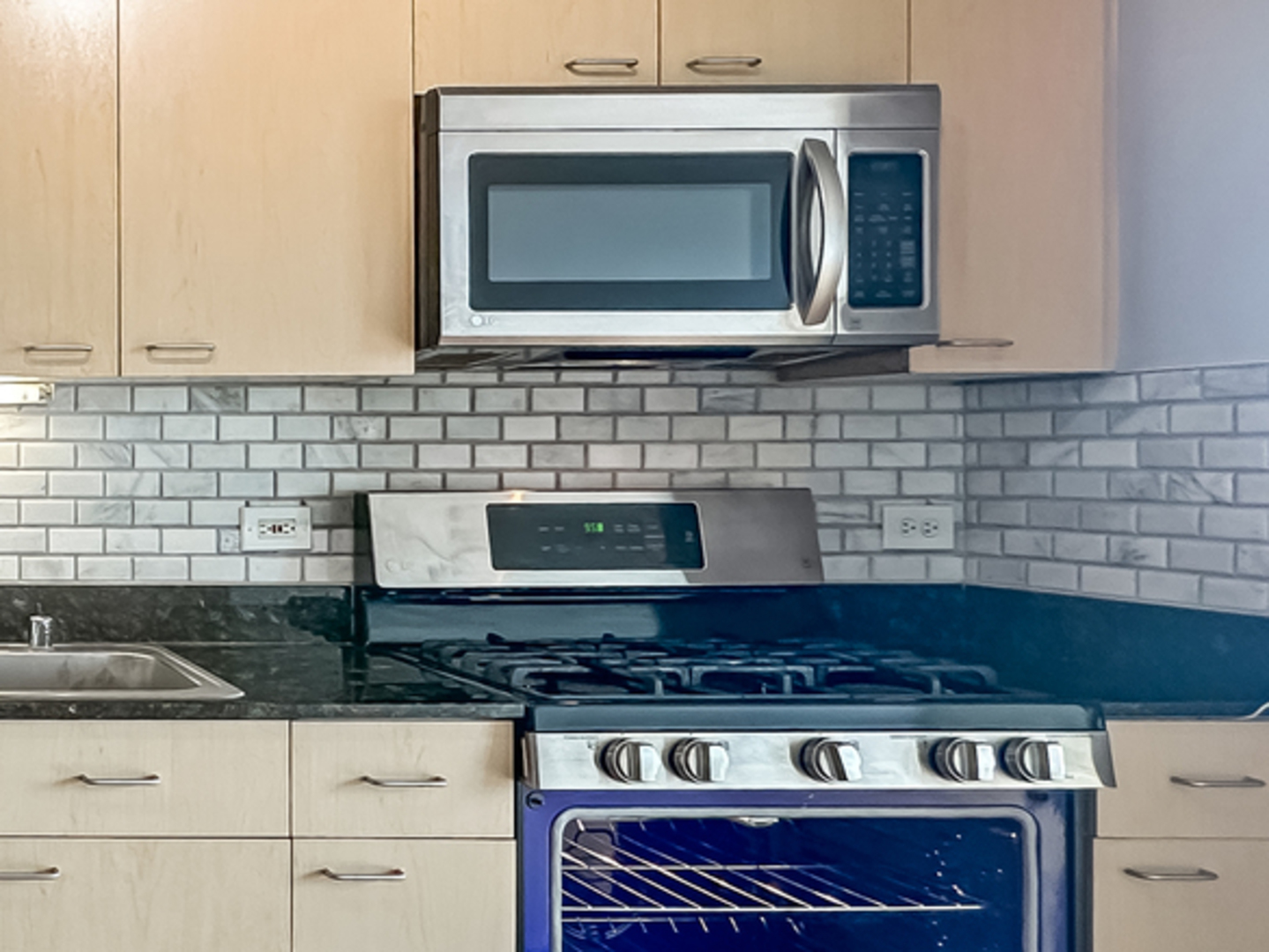 1845 South Michigan Avenue, Unit 1602 Chicago, IL 60616 - Photo 4 of 24