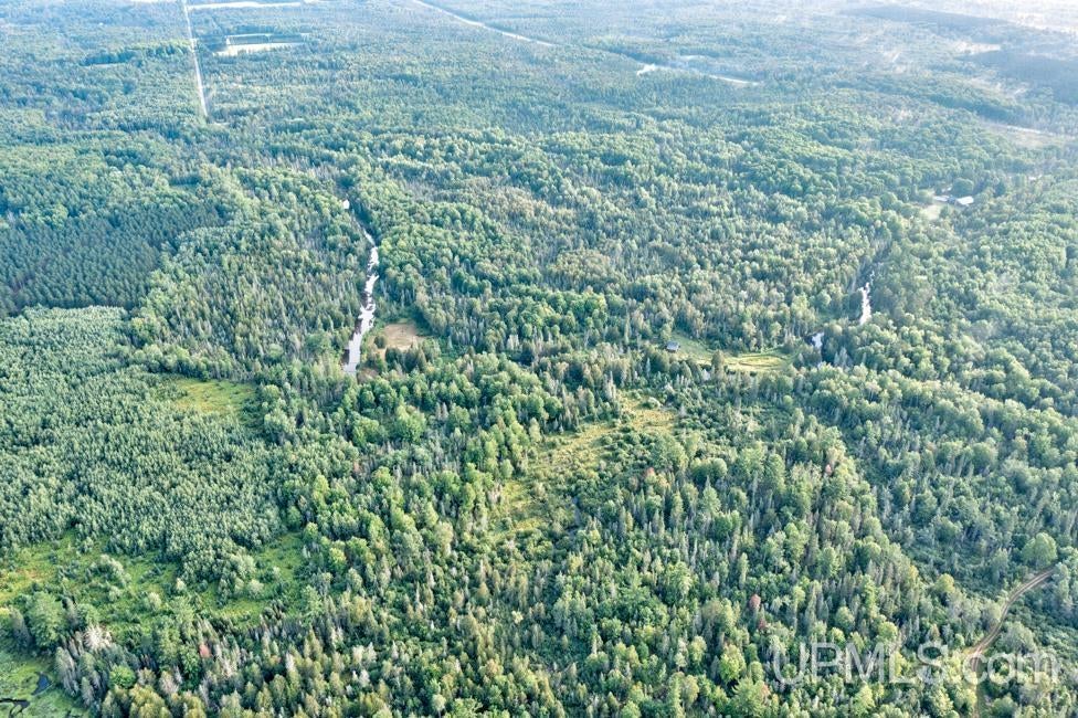 64.84 A Off S15 Road Rapid River, MI 49878 - Photo 15 of 16 Gallery Image 15