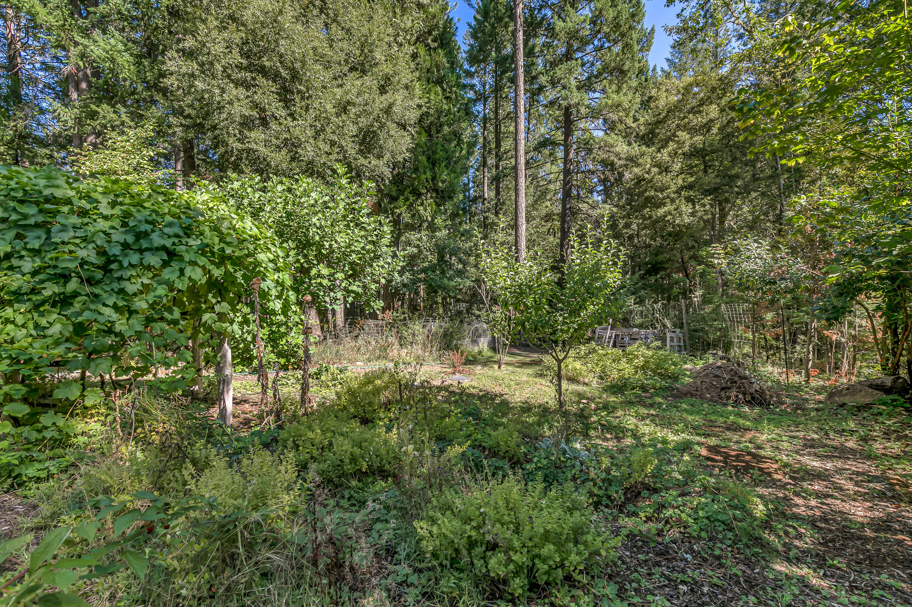 3496 East Fork Road Williams, OR 97544 - Photo 36 of 97 garden