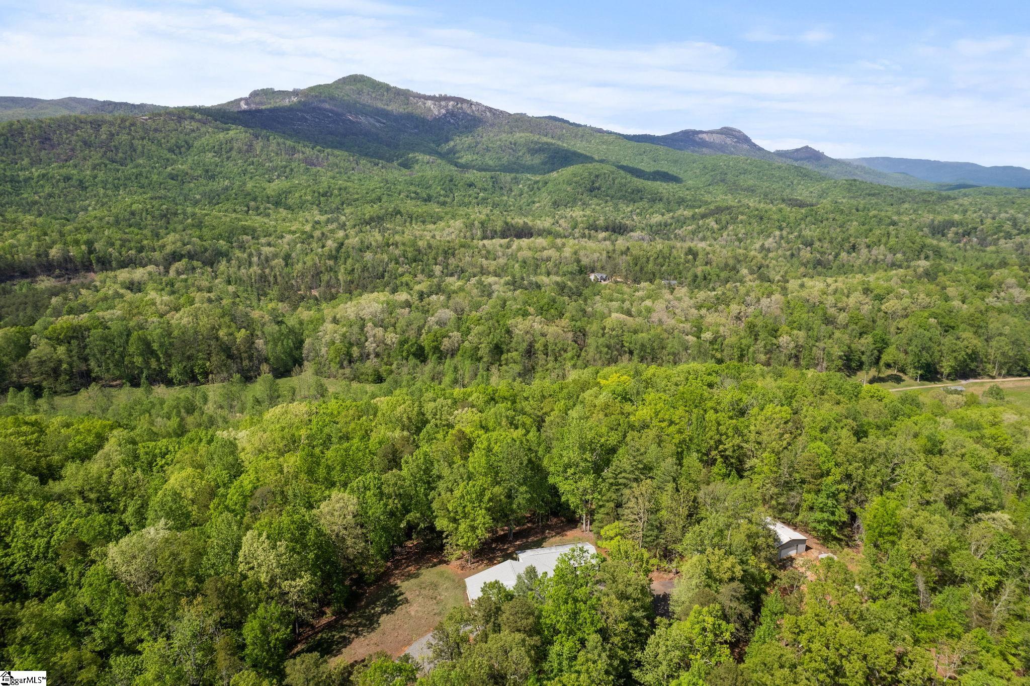 181 Cherokee Hill Ridge Road Pickens, SC 29671 - Photo 31 of 47