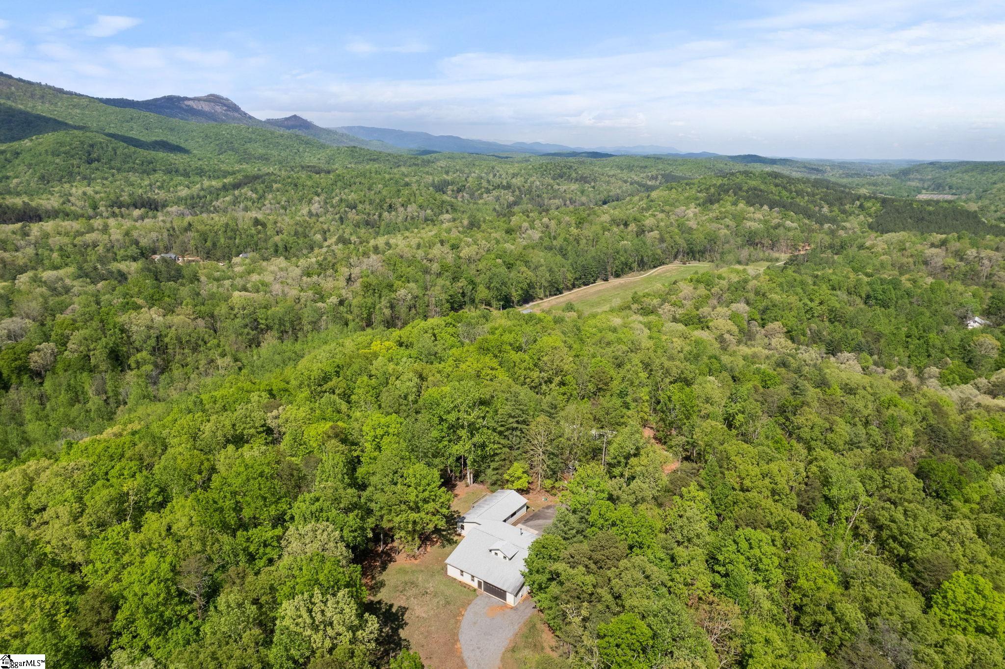181 Cherokee Hill Ridge Road Pickens, SC 29671 - Photo 45 of 47
