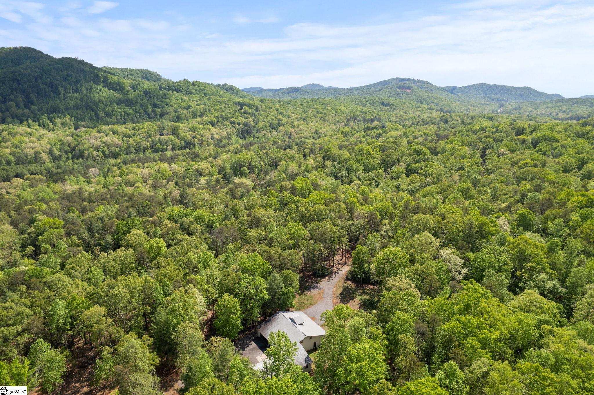 181 Cherokee Hill Ridge Road Pickens, SC 29671 - Photo 47 of 47