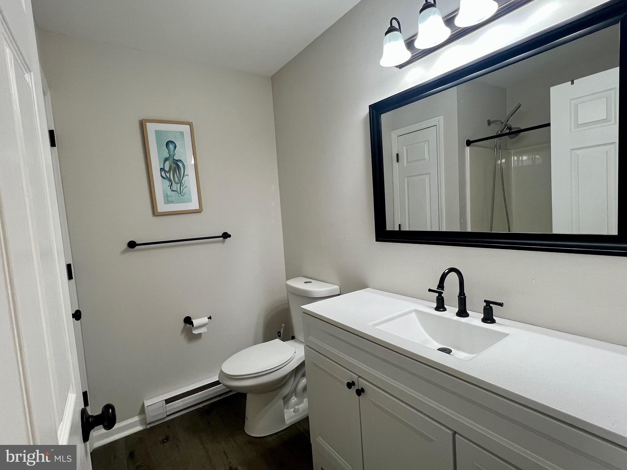 41 Hill Top Road Earleville, MD 21919 - Photo 22 of 51 a bathroom with a toilet sink and mirror