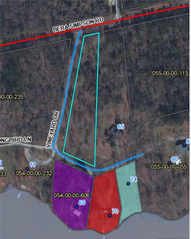 0 Vineyard Drive Iva, SC 29655 - Photo 2 of 5 Lot is corner of Vineyard and Bera Simpson Road Outlined in blue