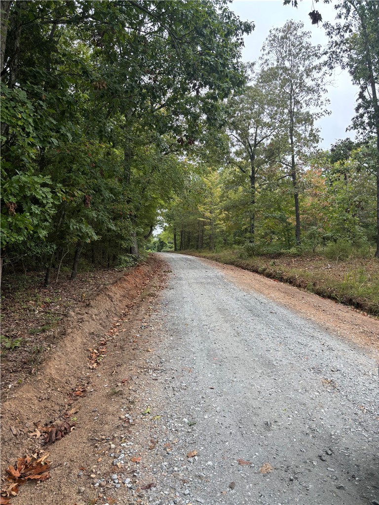 0 Vineyard Drive Iva, SC 29655 - Photo 3 of 5