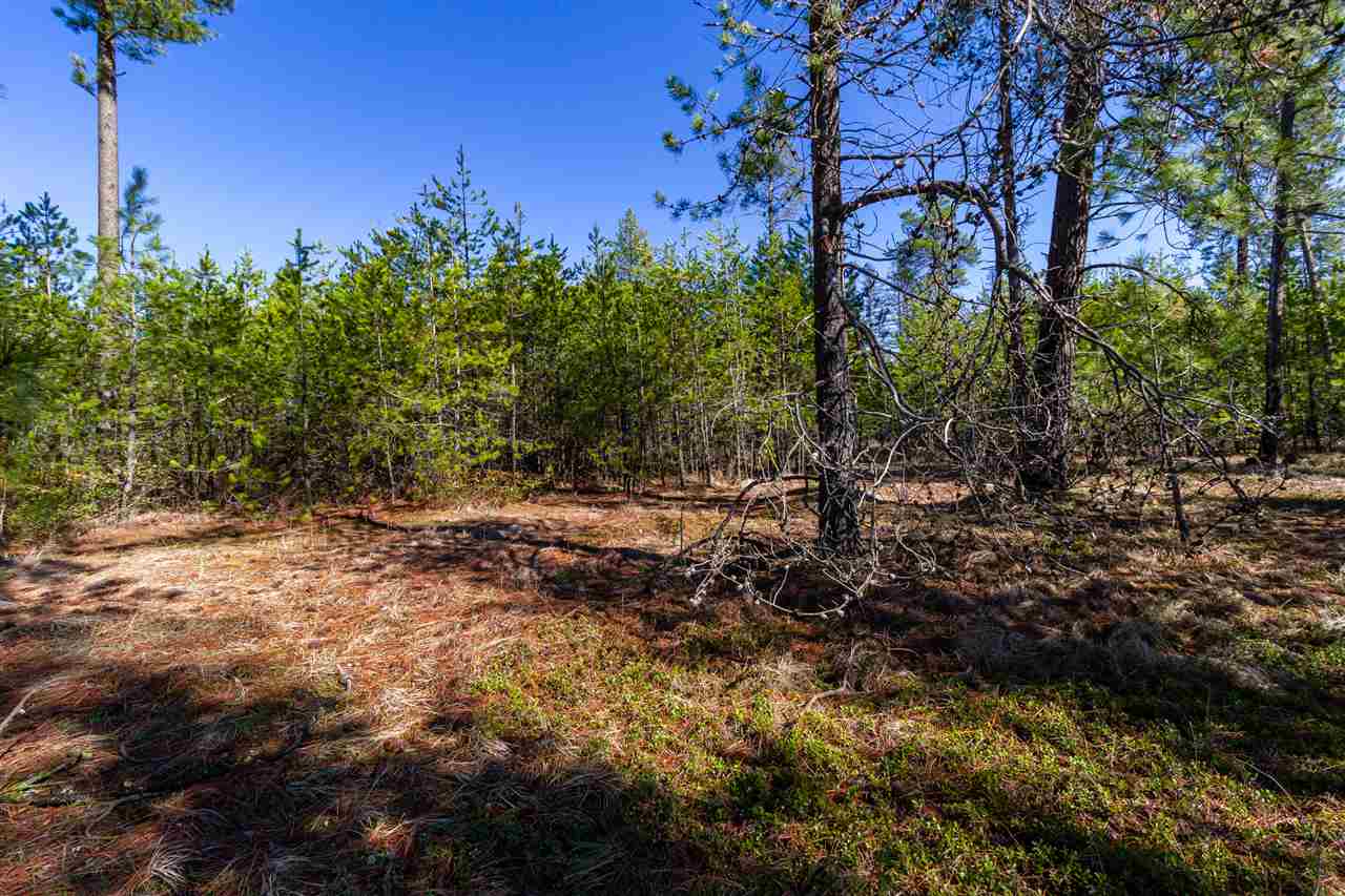 0 West Olson Road Deer Park, WA 99006 - Photo 4 of 12 Gallery Image 4