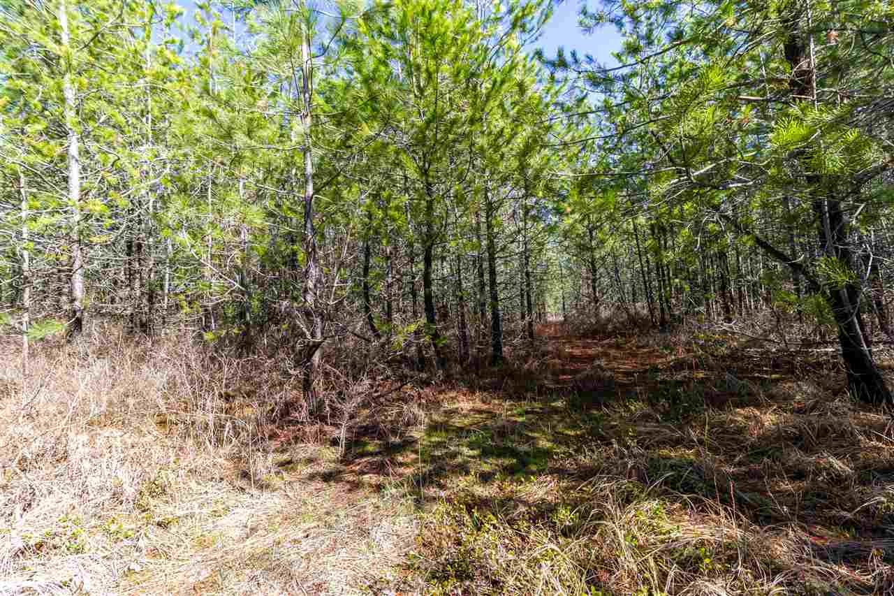 0 West Olson Road Deer Park, WA 99006 - Photo 5 of 12 Gallery Image 5