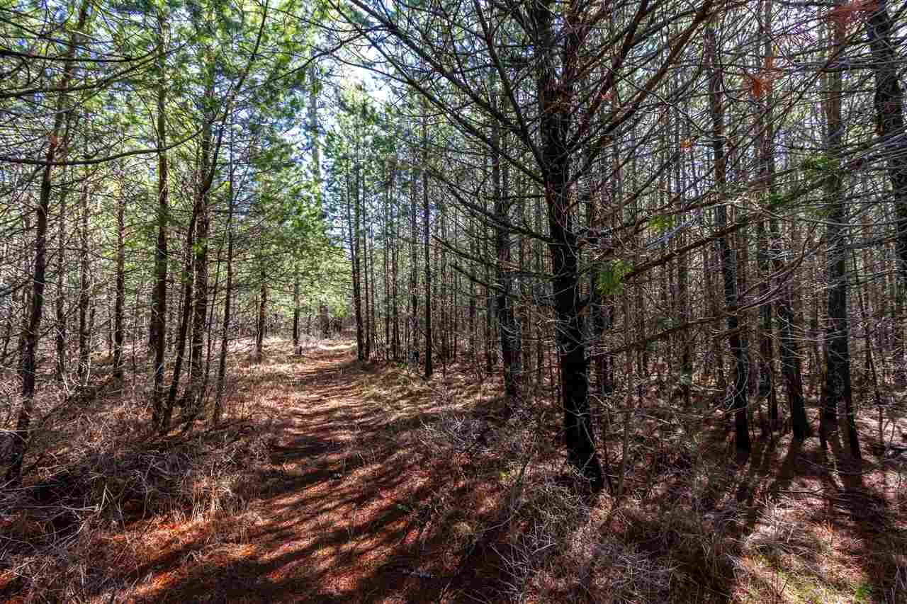 0 West Olson Road Deer Park, WA 99006 - Photo 8 of 12 Gallery Image 8