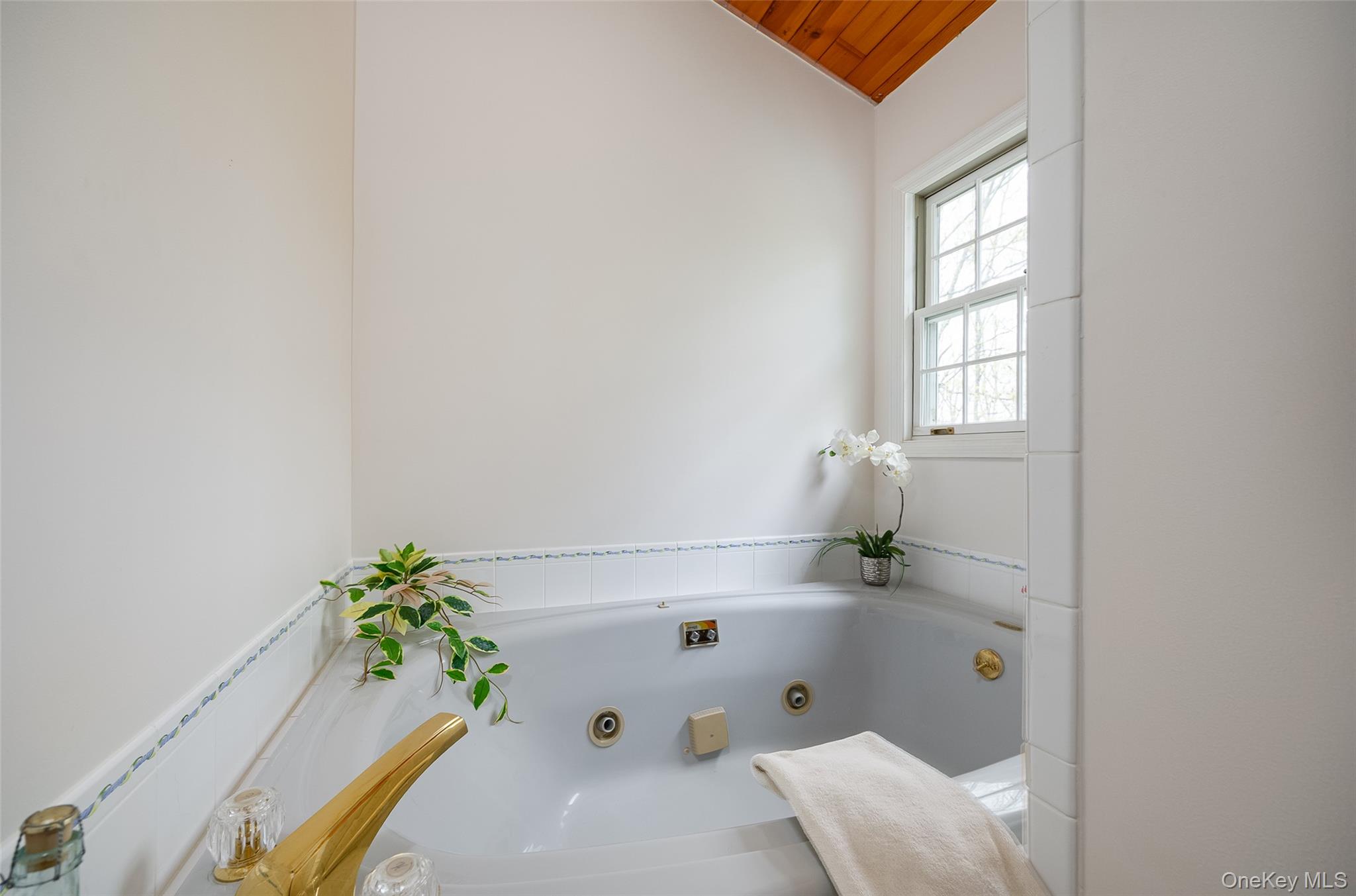 33 Willow Brook Ridge Clinton Corners, NY 12514 - Photo 35 of 50 a bathroom with a tub