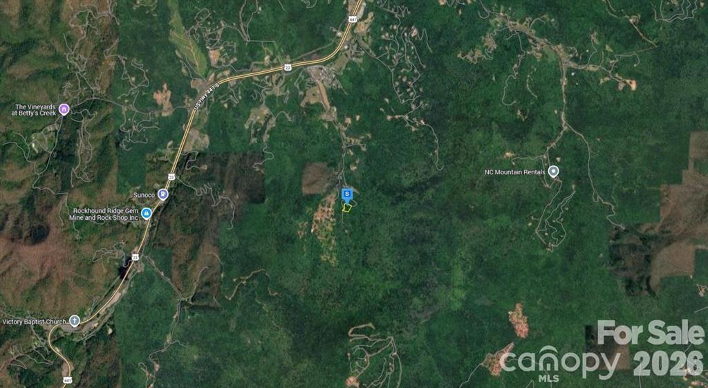 6 Fiddle Fern Loop Sylva, NC 28779 - Photo 3 of 5