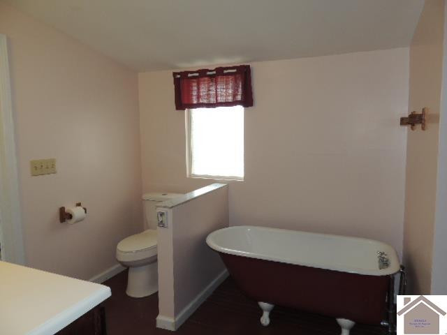 6227 Central Road Mayfield, KY 42066 - Photo 10 of 22 CLAW FOOT TUB