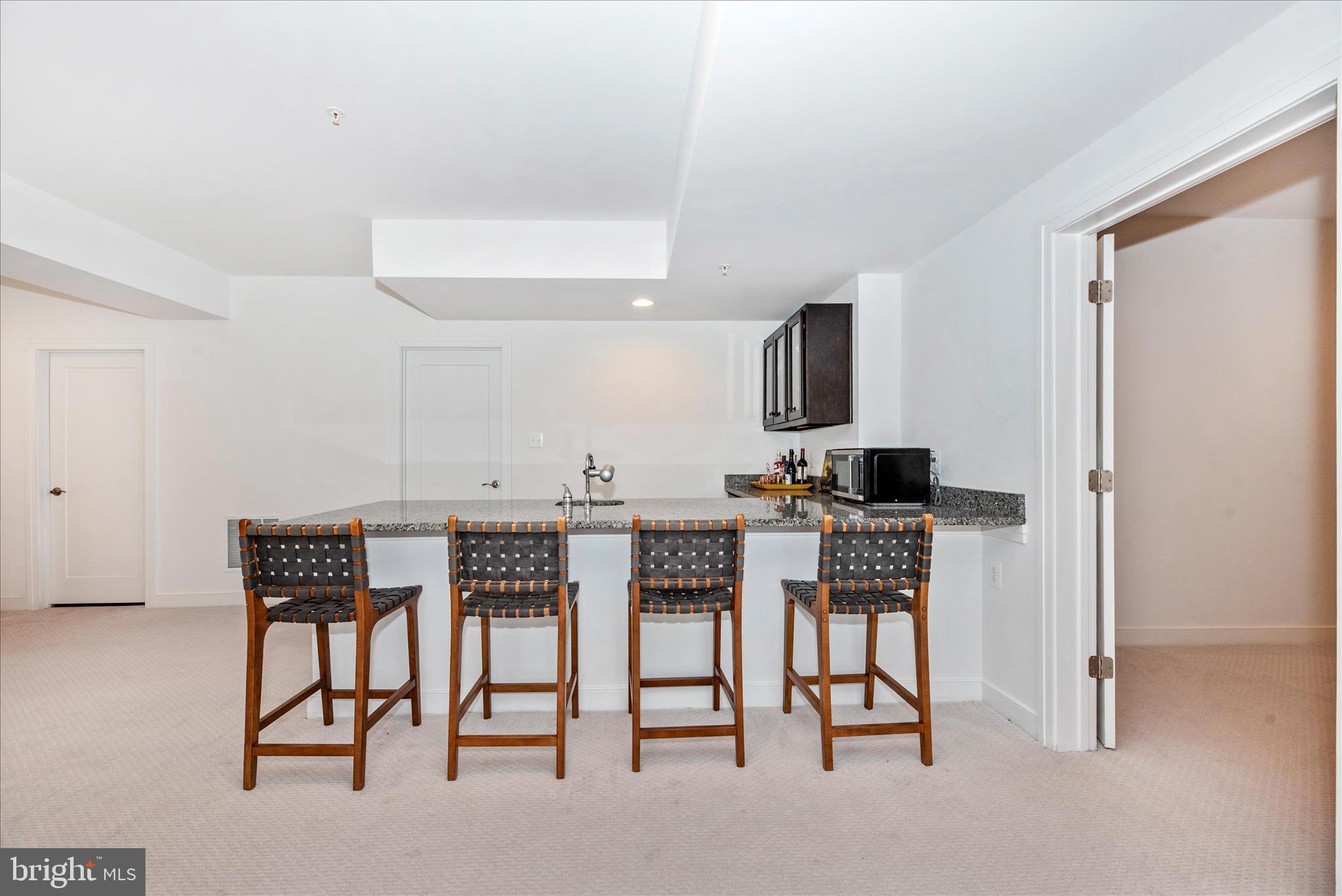 4732 Plum Road Monrovia, MD 21770 - Photo 62 of 93 Finished Lower Level