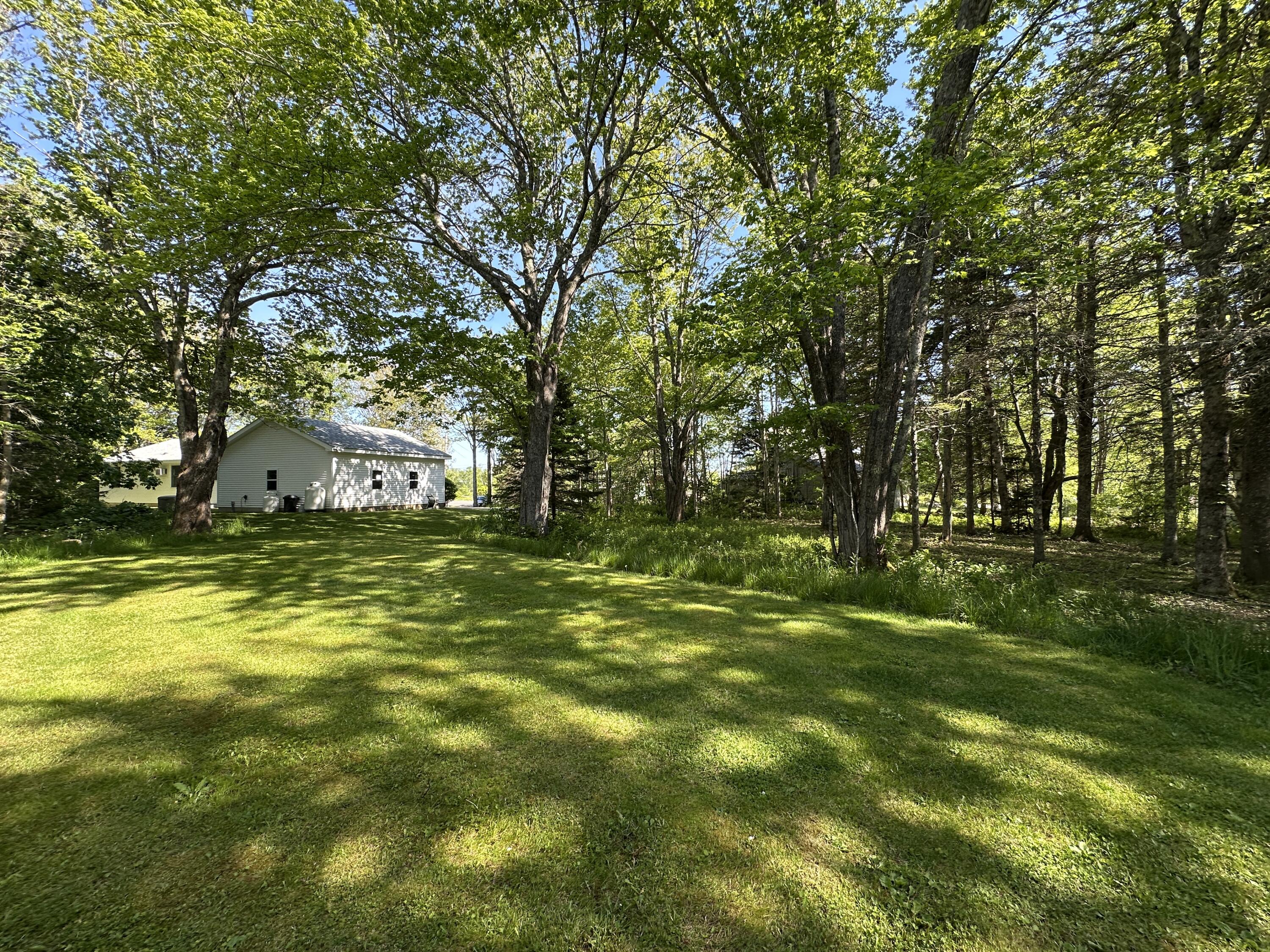 627 Port Clyde Road St. George, ME 04860 - Photo 9 of 58 Yard & Wooded Area