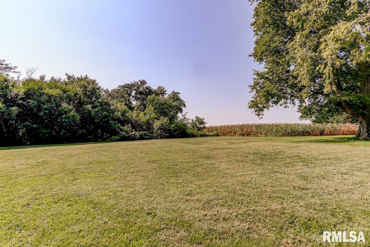 18029 North County Line Road Virden, IL 62690 - Photo 36 of 49