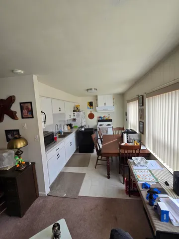 $495,000 | 308 South Mechanic Street, Berrien Springs, MI 49103