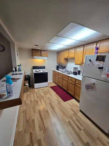 $495,000 | 308 South Mechanic Street, Berrien Springs, MI 49103