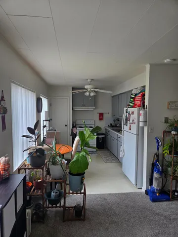 $495,000 | 308 South Mechanic Street, Berrien Springs, MI 49103