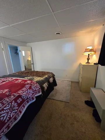 $495,000 | 308 South Mechanic Street, Berrien Springs, MI 49103