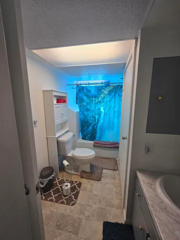 $495,000 | 308 South Mechanic Street, Berrien Springs, MI 49103