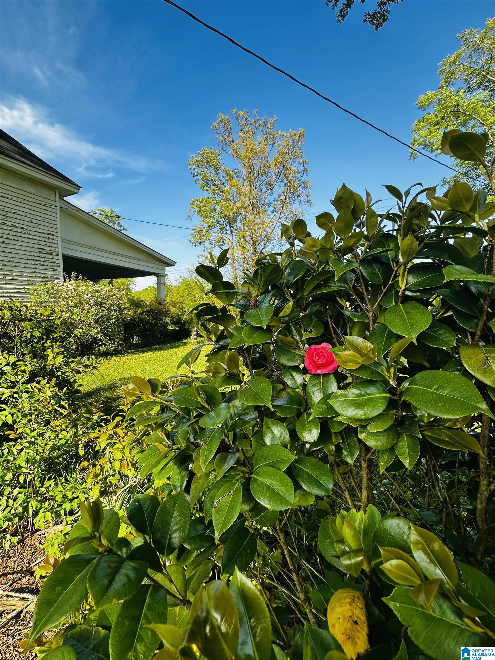 355 Knowles Avenue Lineville, AL 36266 - Photo 47 of 54