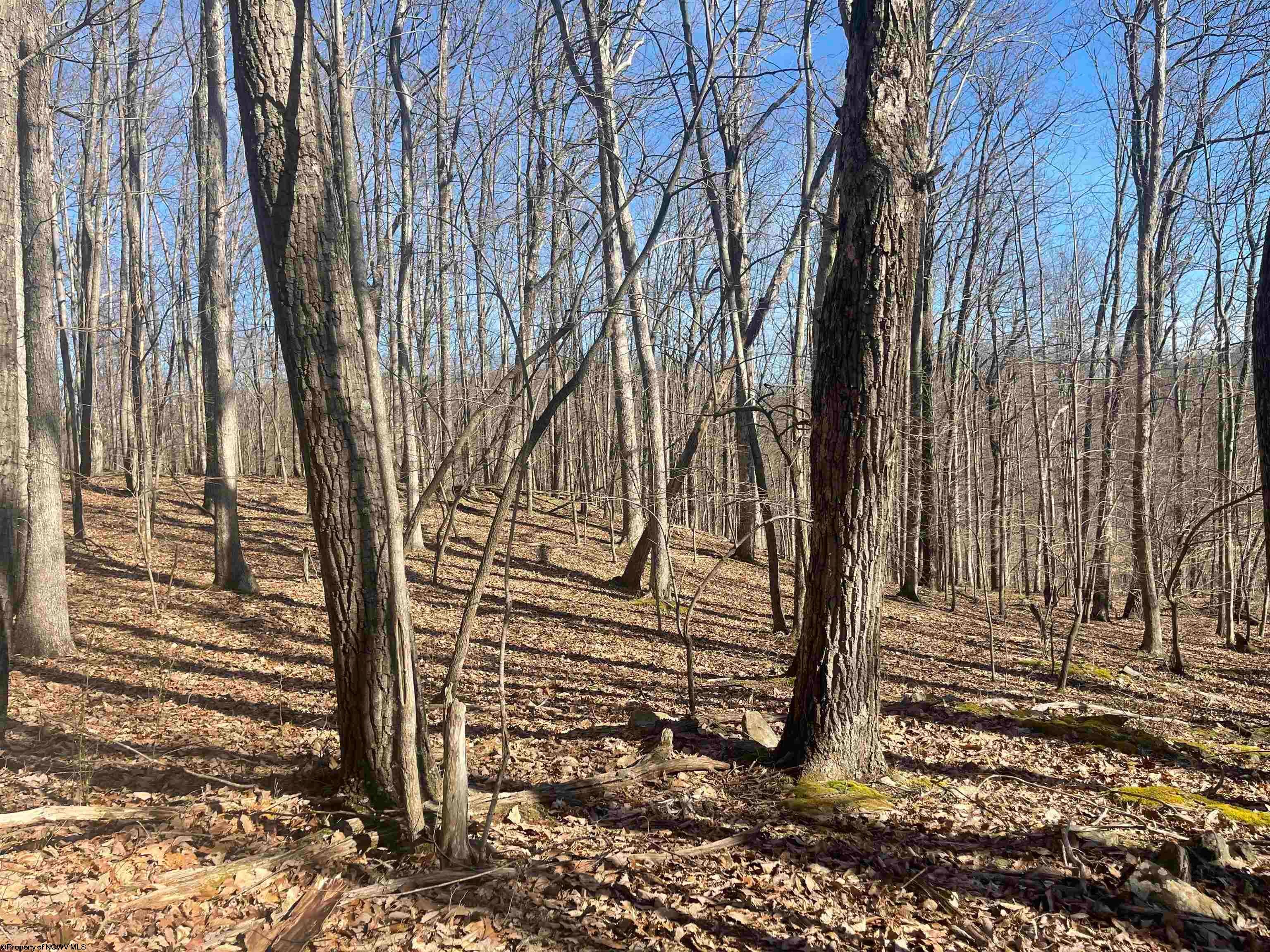 Tbd Jack Hill Road Buckhannon, WV 26201 - Photo 25 of 50 Gallery Image 25