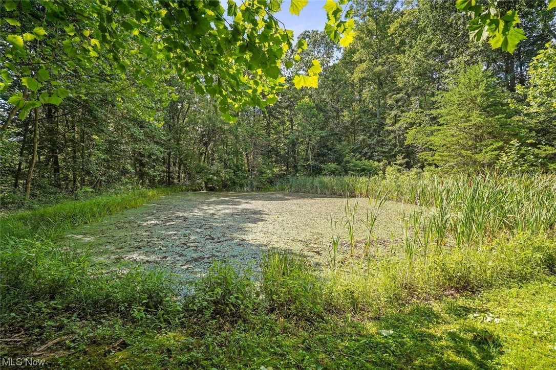 9985 Walnut Dowler Road Logan, OH 43138 - Photo 22 of 28