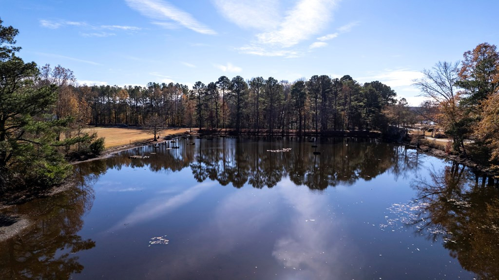 3455 McCrays Mill Road Sumter, SC 29154 - Photo 42 of 82 Gallery Image 42