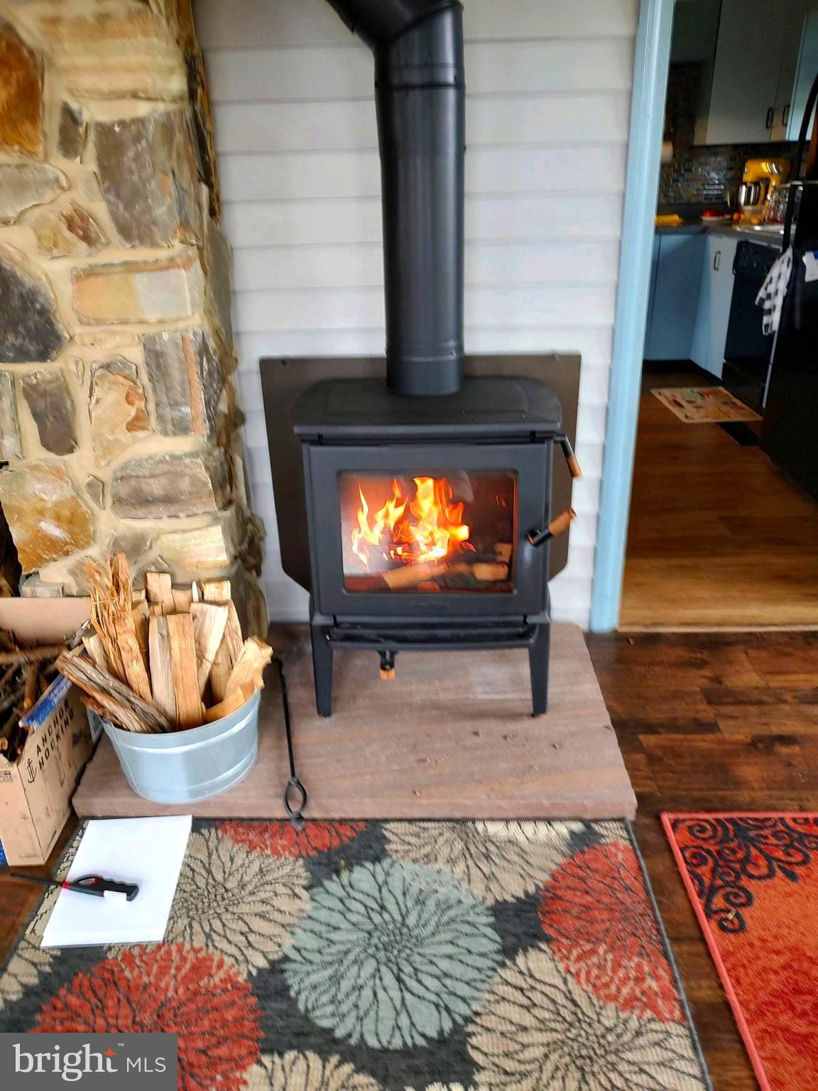 5619 Cassons Neck Road Cambridge, MD 21613 - Photo 18 of 46 Cozy woodstove