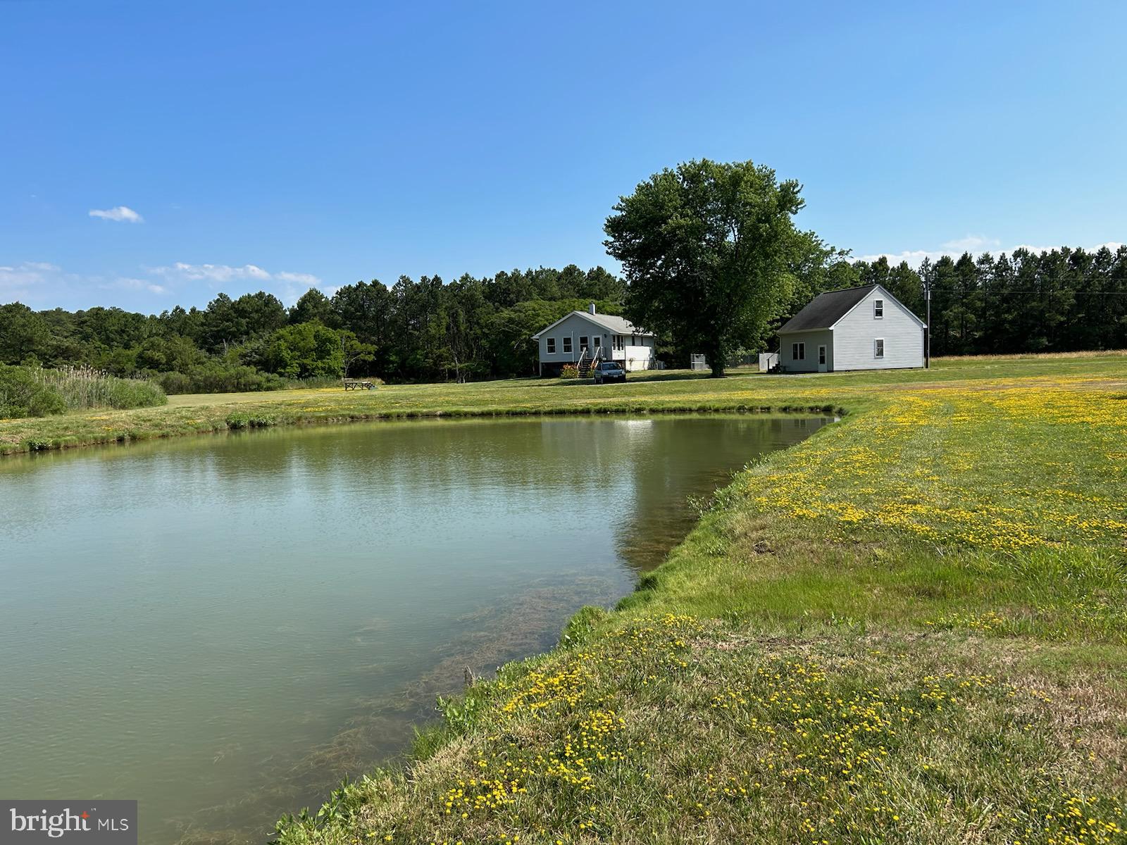 5619 Cassons Neck Road Cambridge, MD 21613 - Photo 39 of 46 pond