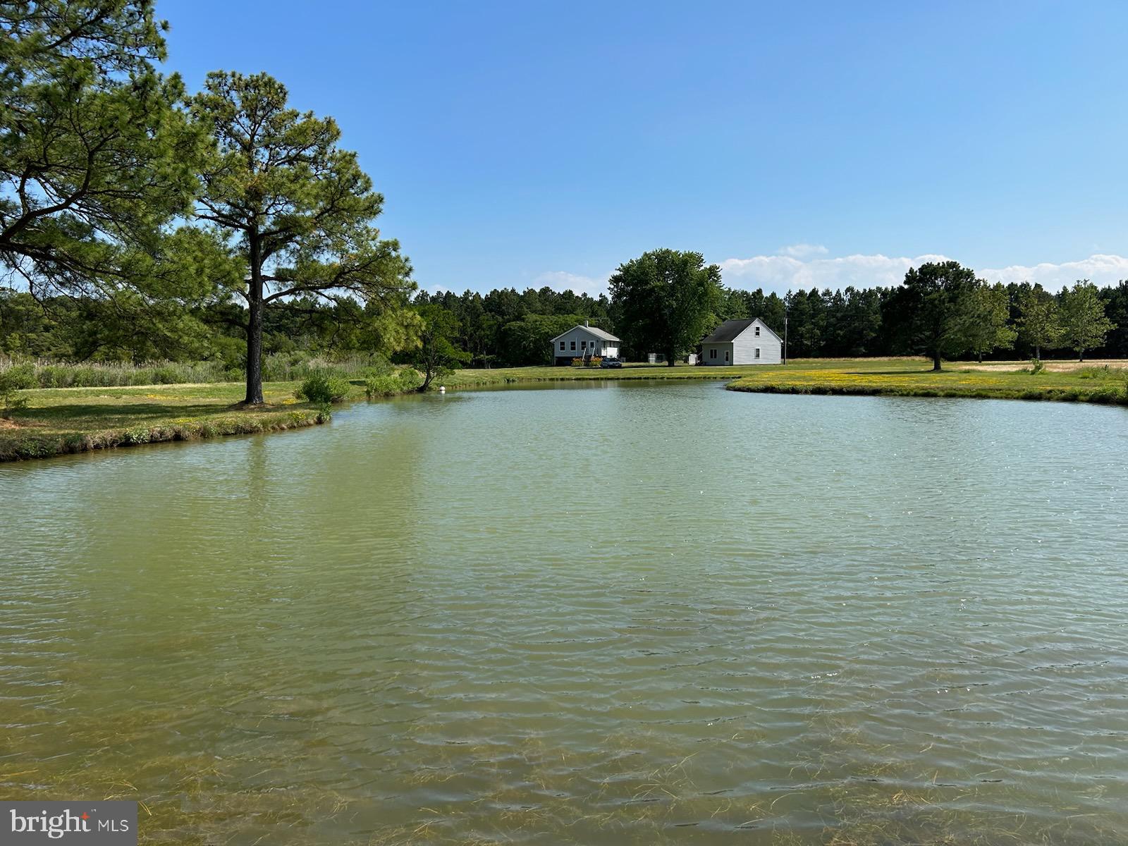 5619 Cassons Neck Road Cambridge, MD 21613 - Photo 40 of 46 pond
