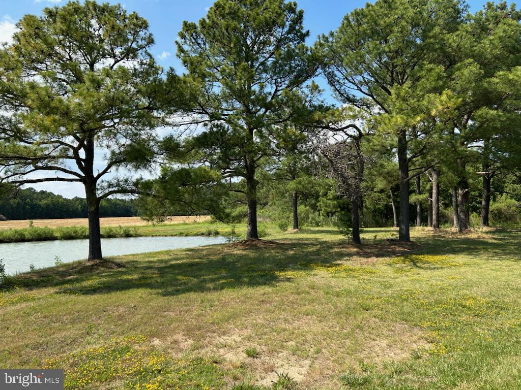 5619 Cassons Neck Road Cambridge, MD 21613 - Photo 41 of 46 Gallery Image 41