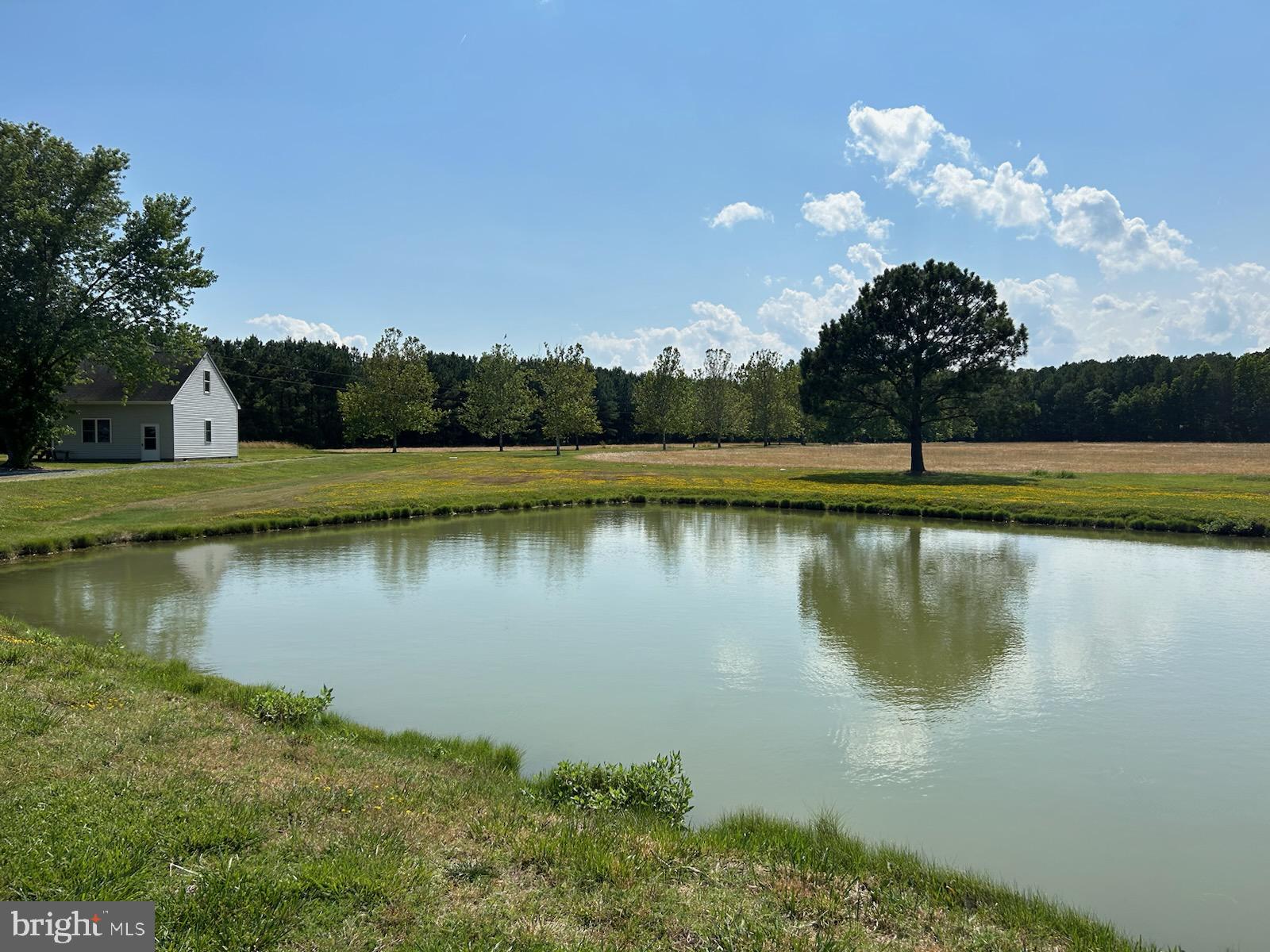 5619 Cassons Neck Road Cambridge, MD 21613 - Photo 42 of 46 pond