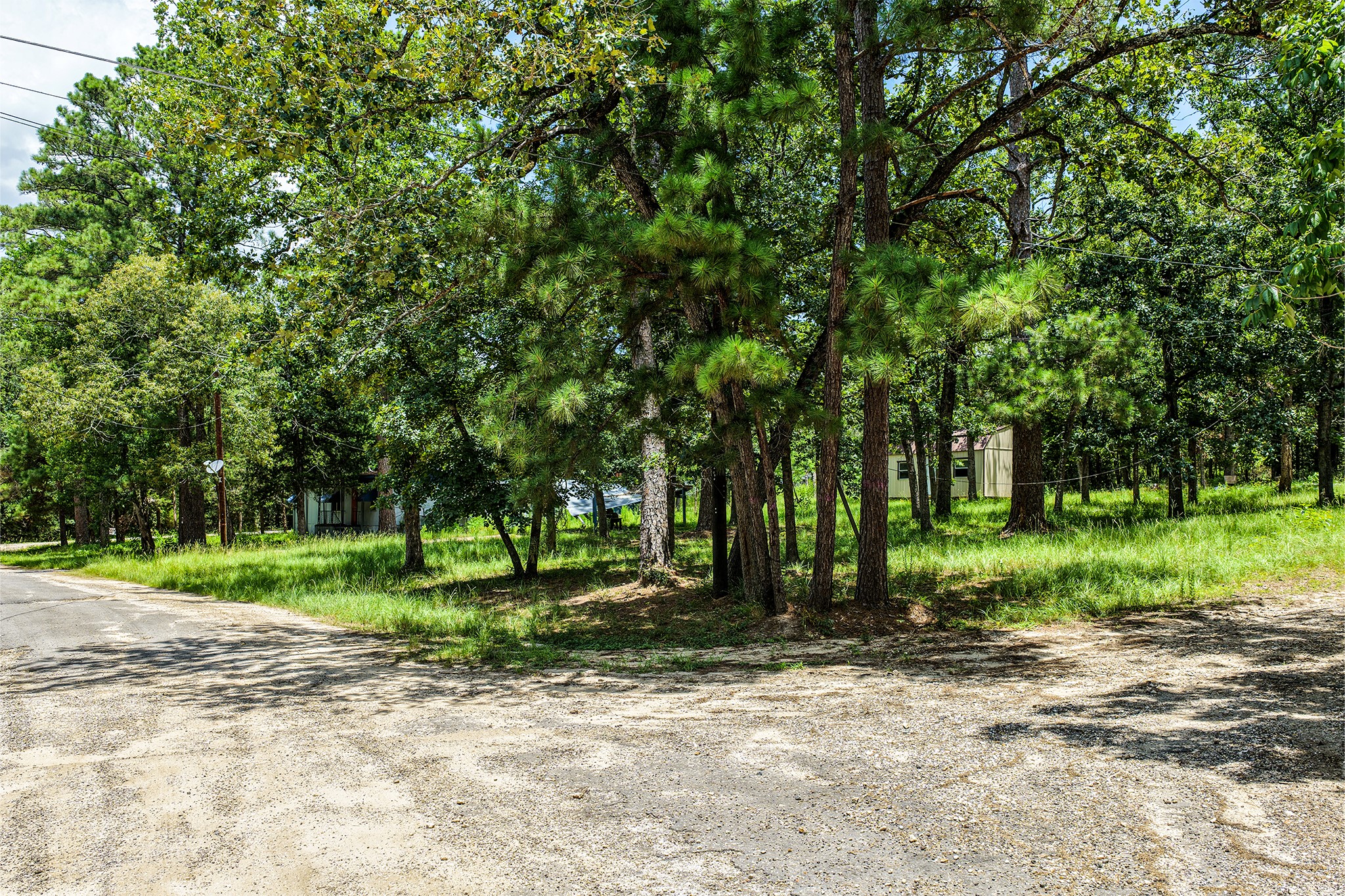 383 Post Oak Circle Trinity, TX 75862 - Photo 1 of 17