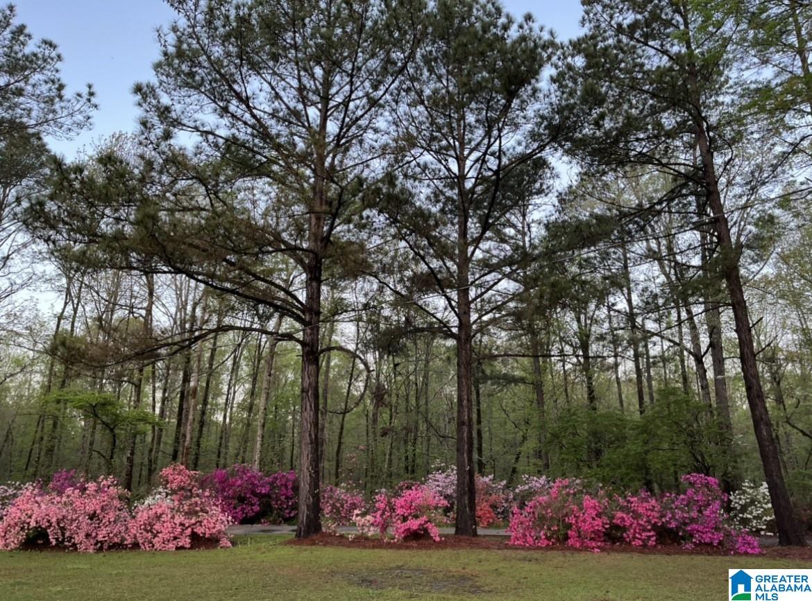 20110 Highway 22 Clanton, AL 35045 - Photo 47 of 49