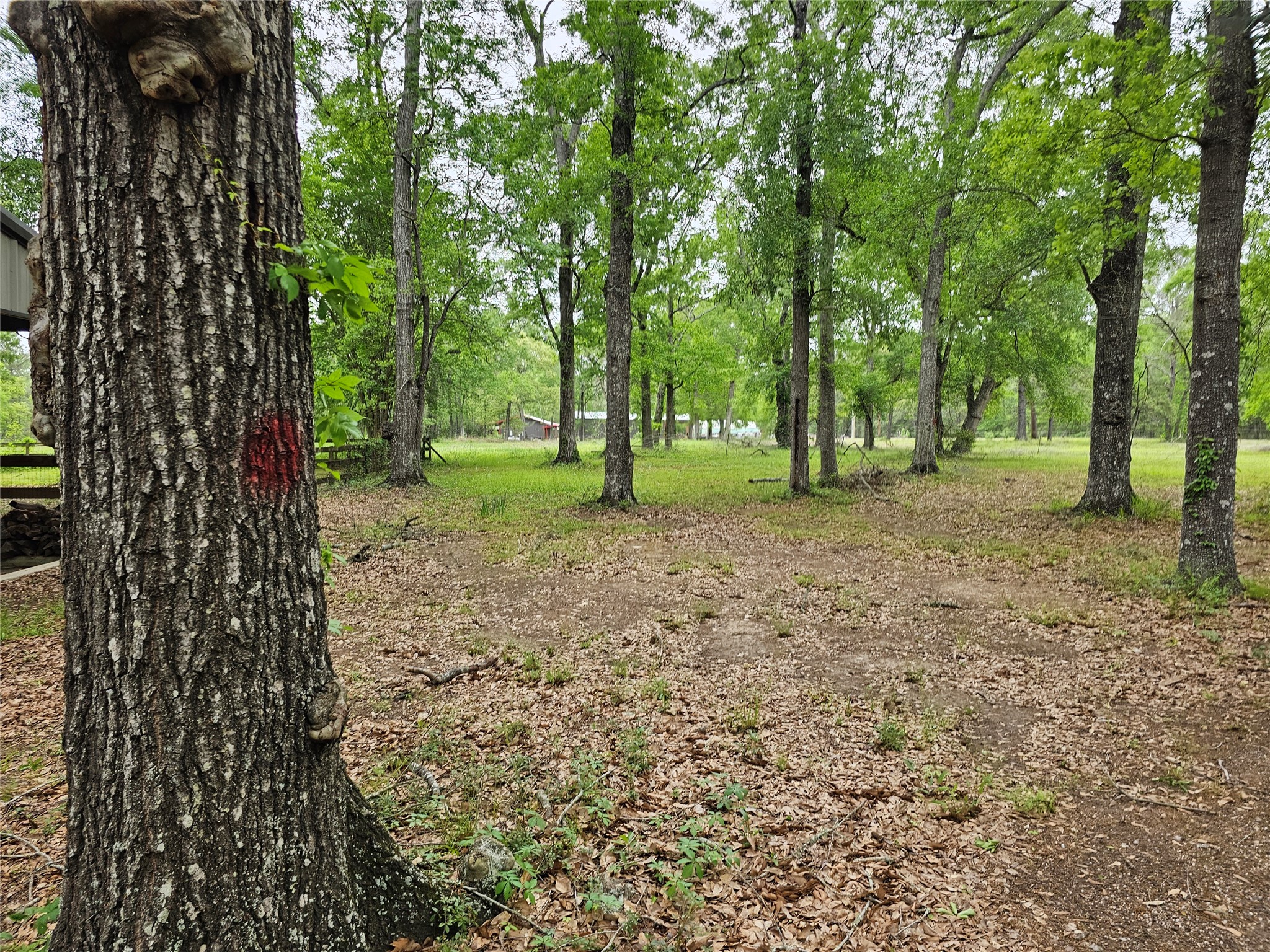 15784 Tree Monkey Road Conroe, TX 77303 - Photo 5 of 40