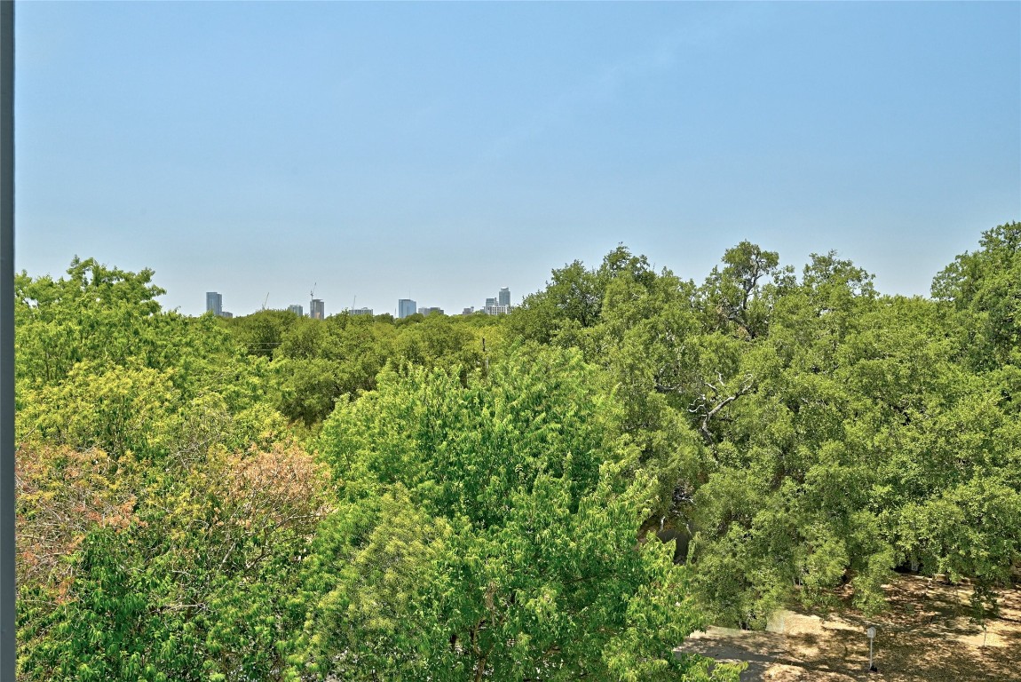 2909 Kuhlman Avenue, Unit 1 Austin, TX 78702 - Photo 36 of 40 a view of a field of grass and trees