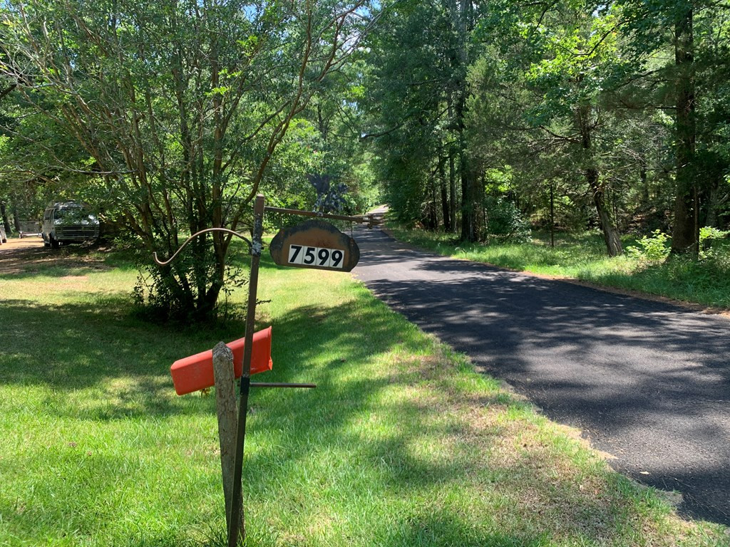 7599 Quentin Road Northeast Union Church, MS 39668 - Photo 25 of 64 Photo 25