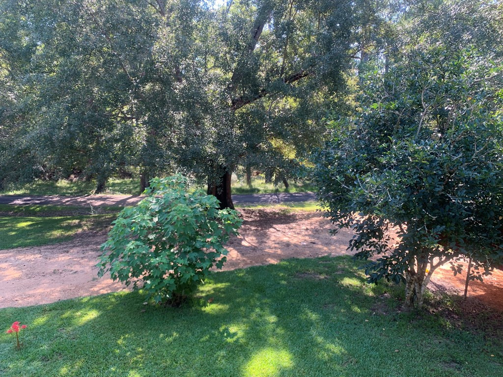 7599 Quentin Road Northeast Union Church, MS 39668 - Photo 29 of 64 Photo 29
