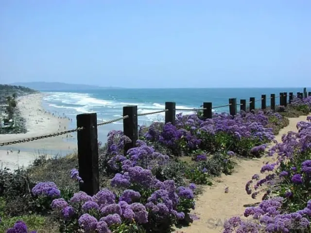 a view of a street with lots of flower plants