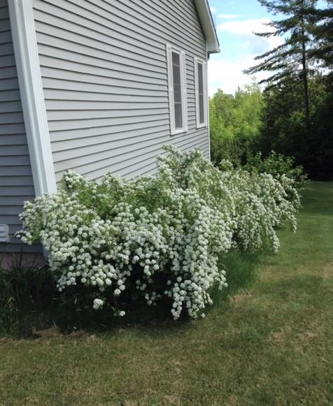 1232 Milo Road Sebec, ME 04481 - Photo 32 of 34 Small, Sue 123