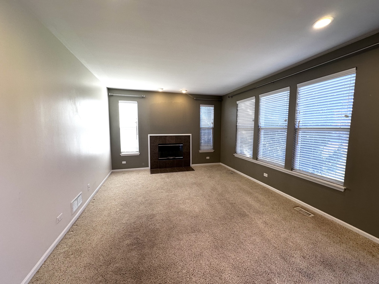 3134 Kyra Lane Elgin, IL 60124 - Photo 17 of 56 an empty room with fireplace and a window