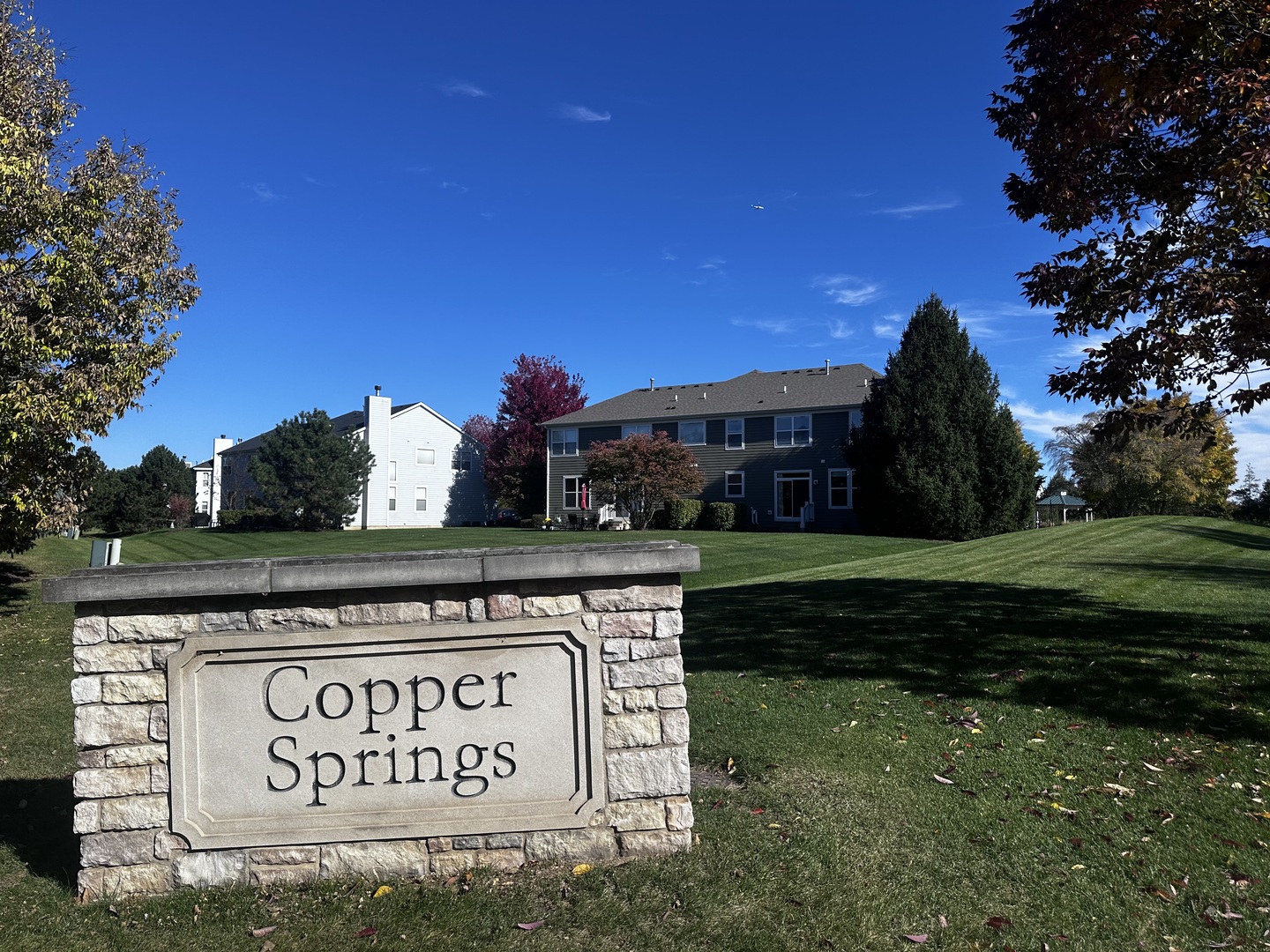 3134 Kyra Lane Elgin, IL 60124 - Photo 56 of 56 a view of a park that has sign board