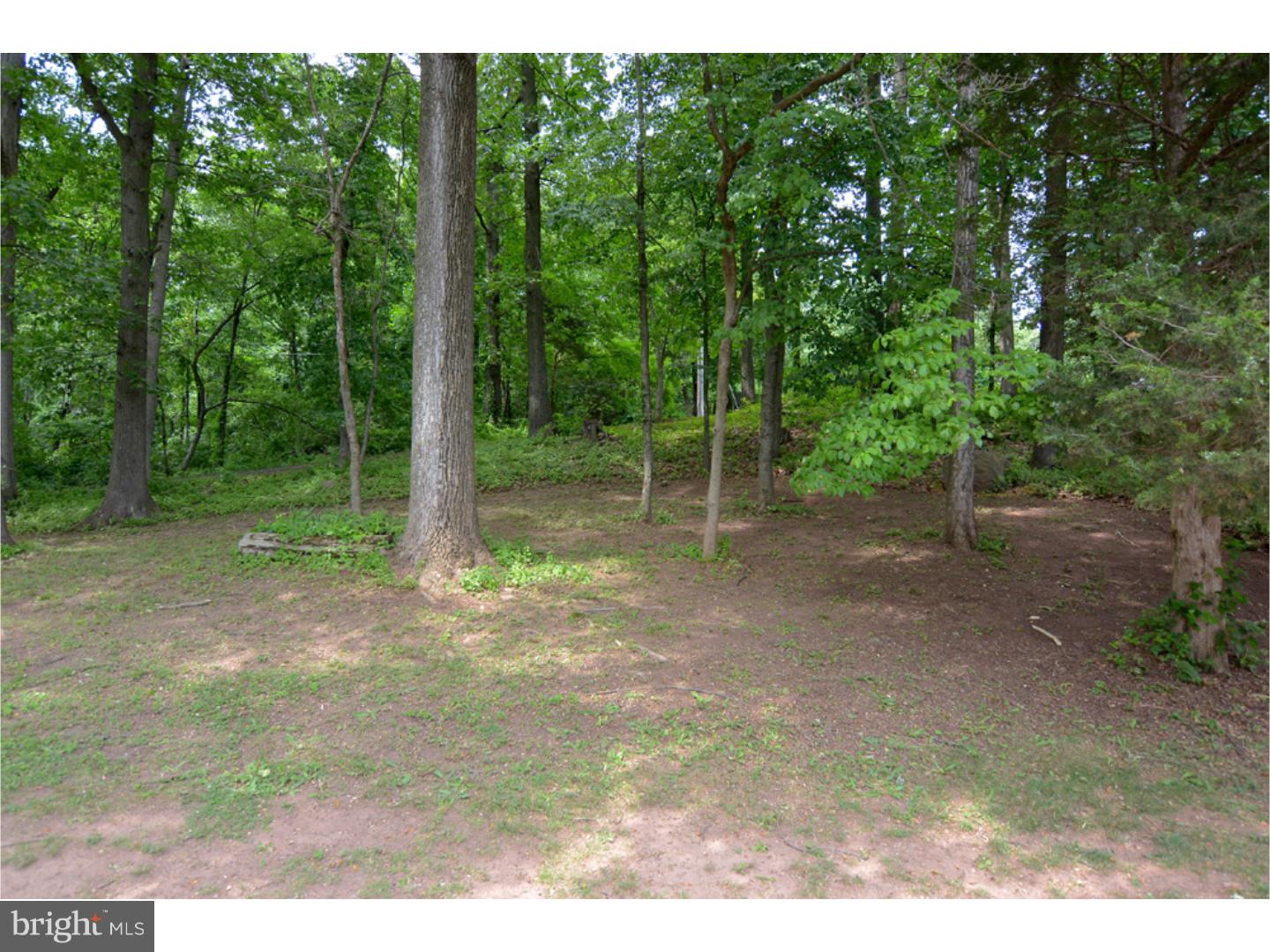 280 Beech Road Mohnton, PA 19540 - Photo 21 of 24 Side Yard