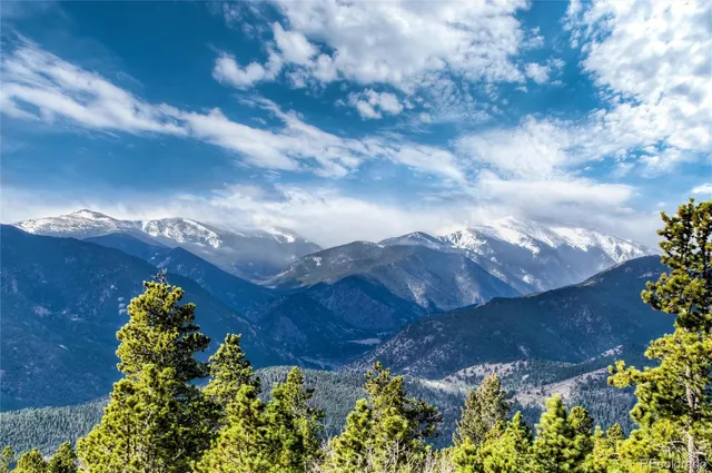 a view of a bunch of flowers