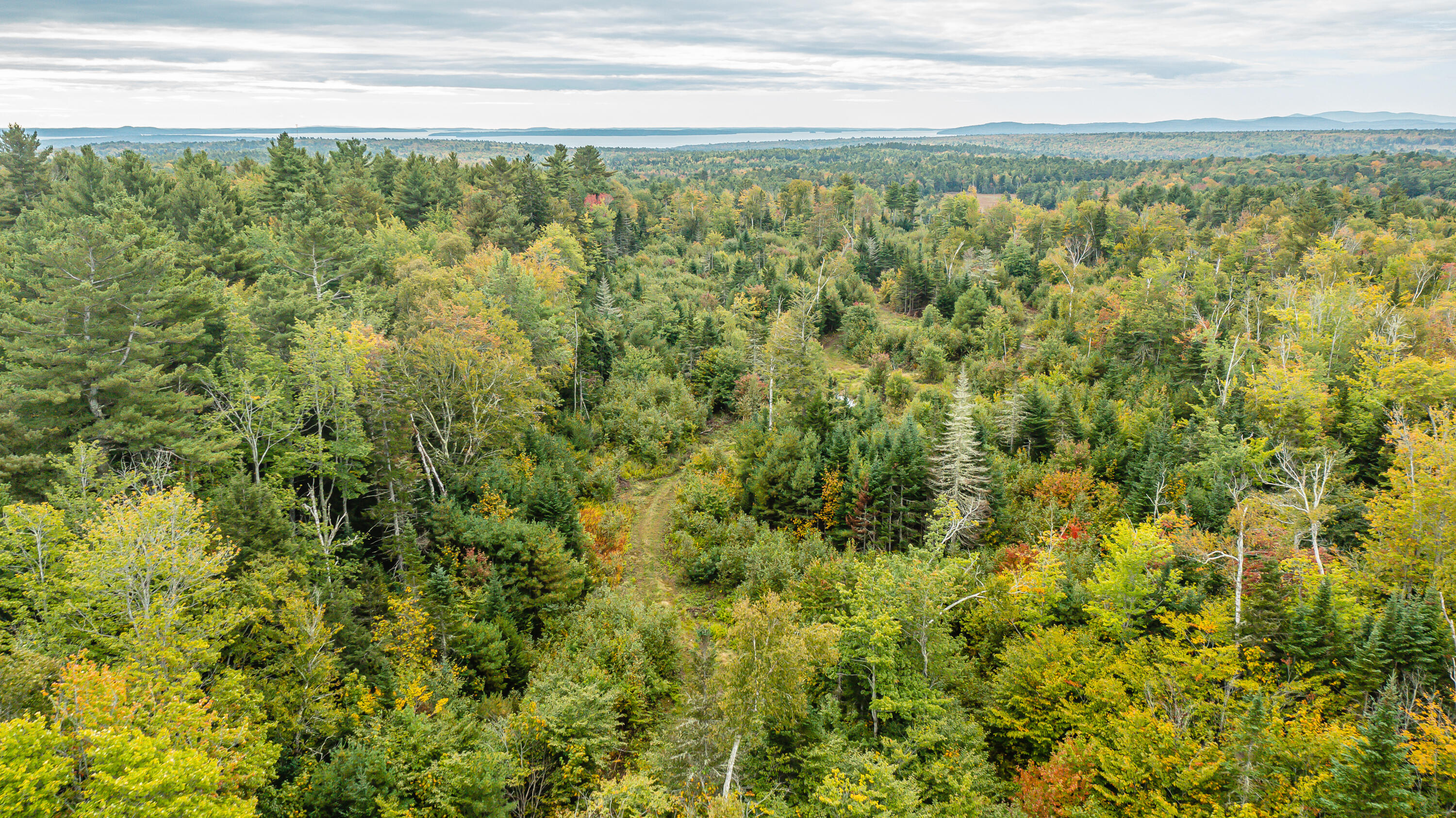 0 Bog Hill Road Searsport, ME 04974 - Photo 10 of 15 0172