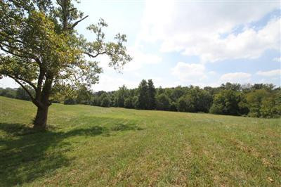 2344 Union Mill Road Nicholasville, KY 40356 - Photo 39 of 56 Photo 39