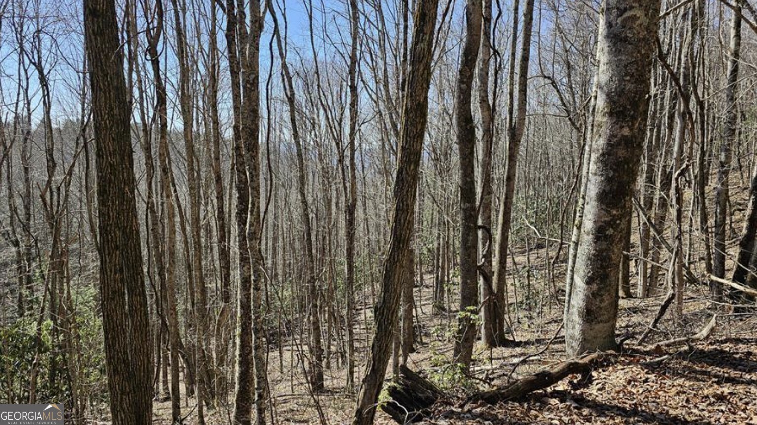 0 Highland Gap Road Scaly Mountain, NC 28775 - Photo 4 of 10