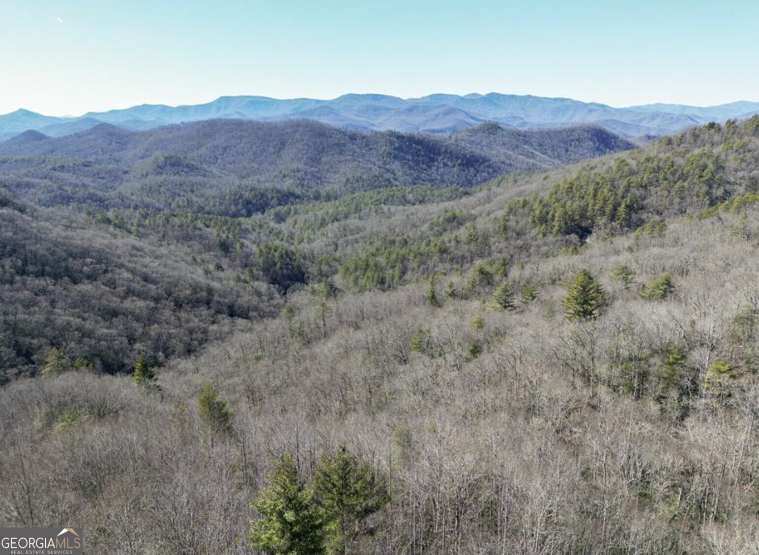 0 Highland Gap Road Scaly Mountain, NC 28775 - Photo 5 of 10